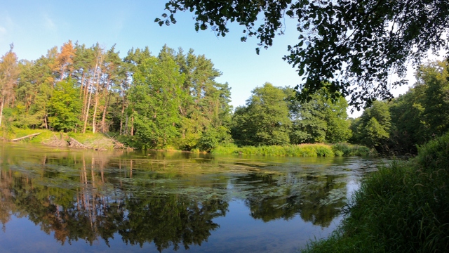 Spływ Kajakowy Słupią